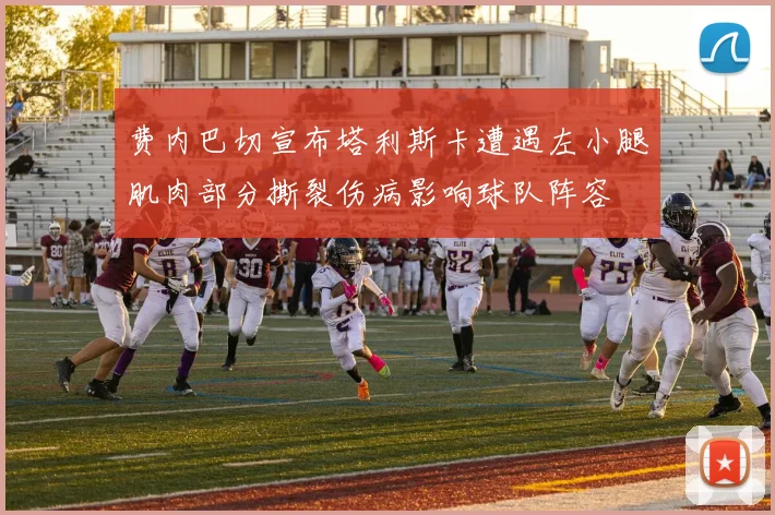 费内巴切宣布塔利斯卡遭遇左小腿肌肉部分撕裂伤病影响球队阵容