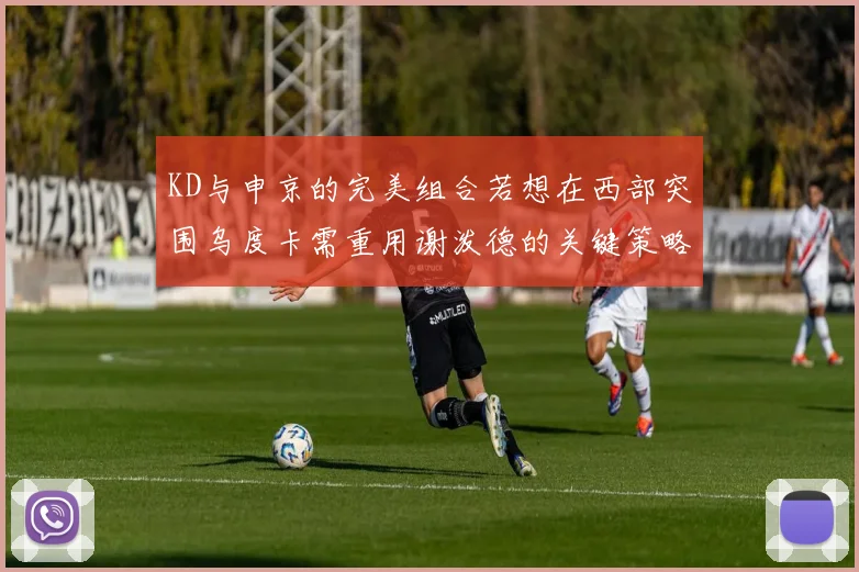 KD与申京的完美组合若想在西部突围乌度卡需重用谢泼德的关键策略