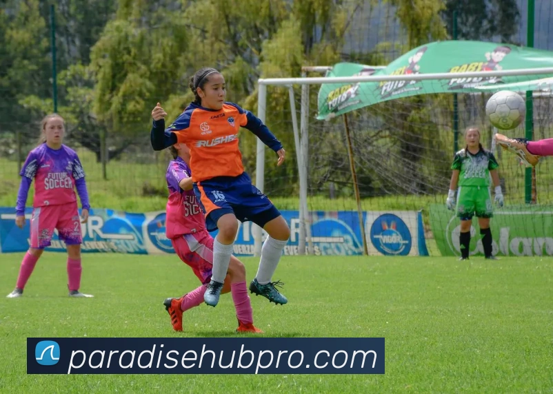 多媒体互动体验